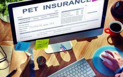 A Good Life Insured for Your Pet